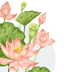 Illustration with exotic flowers.