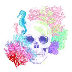 Composition with Skull, corals and sea horses on a white backgro