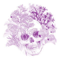 Composition with Skull, coral and fish on a white background.