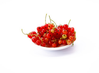 red currant on white