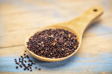 quinoa grain on wooden spoon