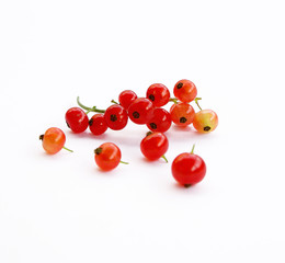 red currant on white