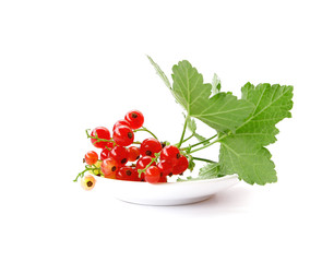 red currant on white