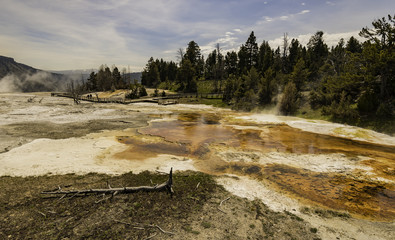 Area of Mammoth hot spring at Yellowstone 
