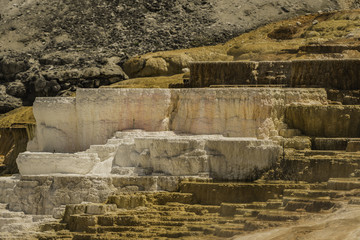 Different layer of colors of hot spring at Mammoth hot spring