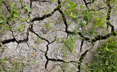 Dry land with cracks