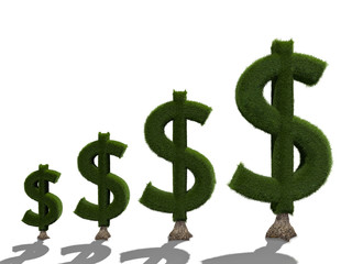 3d render money tree  isolated on white background