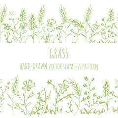 Seamless pattern wild grass, isolated vector, drawing by hand