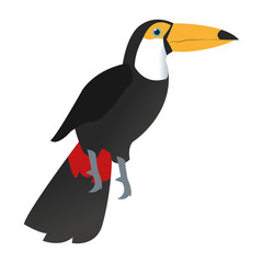 toucan bird icon