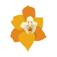 tropical flower icon