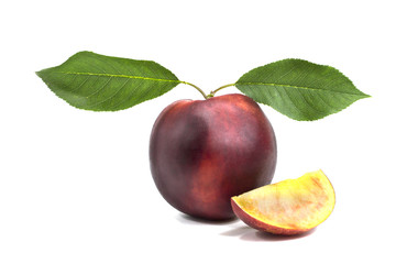 Nectarine fruit isolated on white background