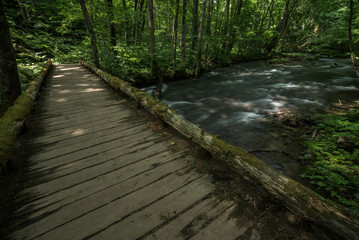 青森県 奥入瀬渓流