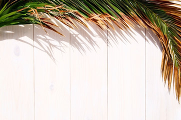 Fototapety  Cień tropikalnych liści palmowych z koktajlem kokosowym na białym tle drewnianych z miejsca kopiowania. Koncepcja na wakacje lub lato.