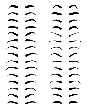Types and forms of eyebrows, tattoo design, vector
