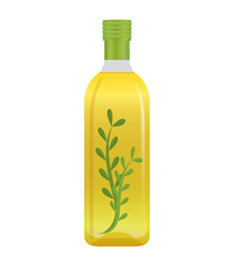 Organic and Healthy food concept represented by olive oil bottle icon. isolated and flat illustration 