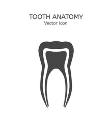 Tooth icon vector