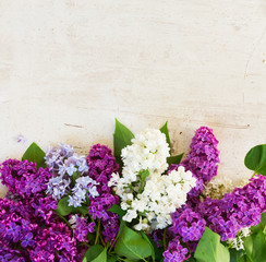 Bunch of fresh lilac