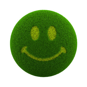 Grass Sphere Smile Icon