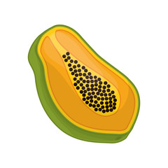 Organic and Healthy food concept represented by papaya fruit icon. isolated and flat illustration 