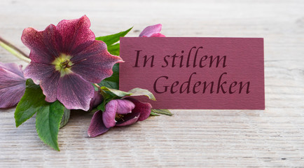 in loving memory / German speaking Mourning card with purple hellebores