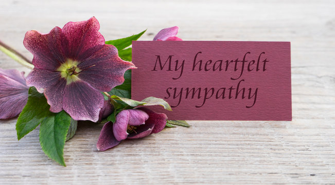 my heartfelts sympathy / English Mourning card with purple hellebores 