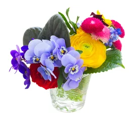 Photo sur Plexiglas Pansies Posy of violets, pansies and ranunculus