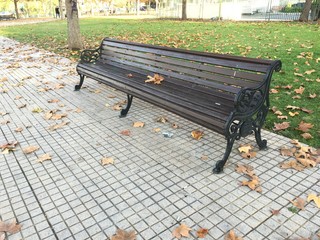 Landscape at a park in Chile