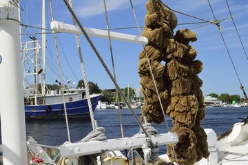 Sponges hanging from a boat on the sponge docks at Tarpon Springs, Florida.