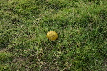 old softball in field