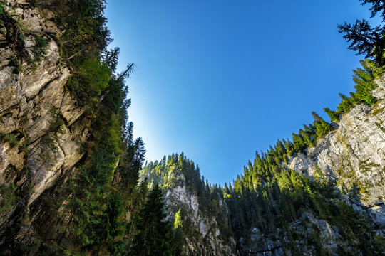 Canyon in romanian mountains