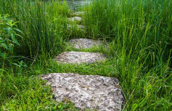 Steinplatten im Teich
