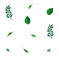 Watercolor seamless pattern with herbs of Provence. lavender
