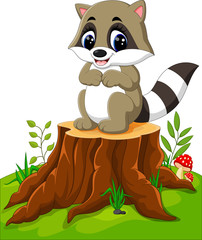 Cartoon racoon posing on tree stump