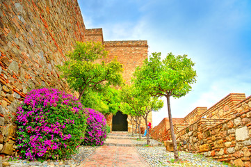 Fototapeta premium Traditional garden of citadel in Malaga, Spain