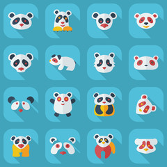 Obraz premium Flat concept, set modern design with shadow pandas