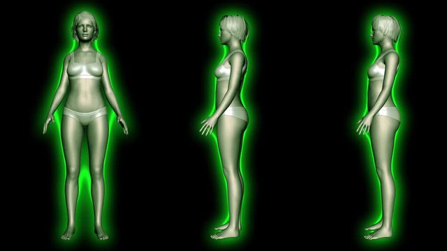 Simulation of a Fat Woman Losing Body Weight and BMI Index Computer X-Ray Screen Design 