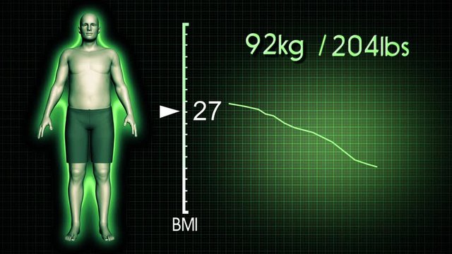 Simulation of an Obese Man Losing Body Weight and BMI Index with a Compter Screen Design 
