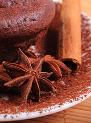 Baked chocolate muffins, star anise and cinnamon