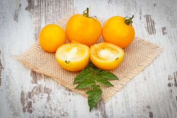 Yellow tomatoes with green leaves in garden on sunny day