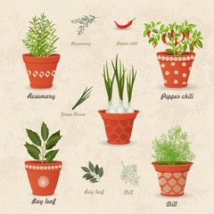 Fototapeta premium vintage collection of different herbs planted in ceramic pots an
