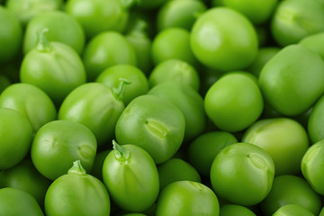 Young grean peas background