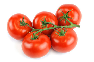 tomato on white background