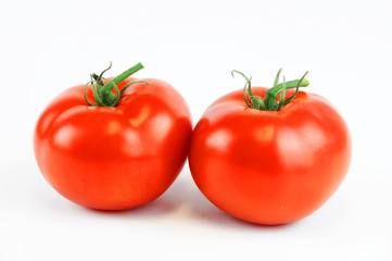 tomato on white background