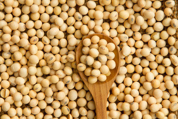 Soybeans on wooden spoon, top view