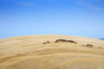 Fototapeta na wymiar Sandstone Rock on a Background of Blue Sky, view of the top