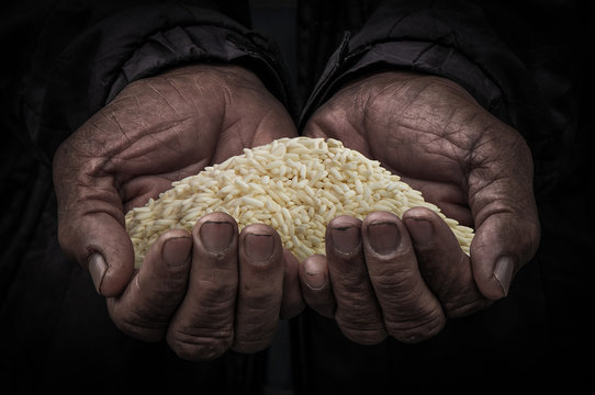 workers hand carry rice in the dark