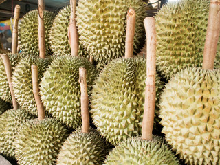 Durian. Group of durian fruit in Thailand market.