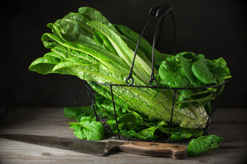 Lettuce and spinach in basket