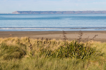 sandy beach at Whites Bay, Rarangi, New Zealand