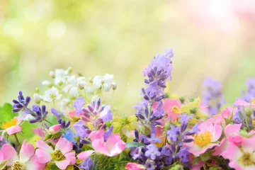 Photo sur Plexiglas Lavande lavender and wild rose